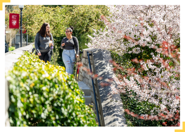 students walking on campus in spring